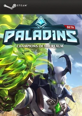 Paladins